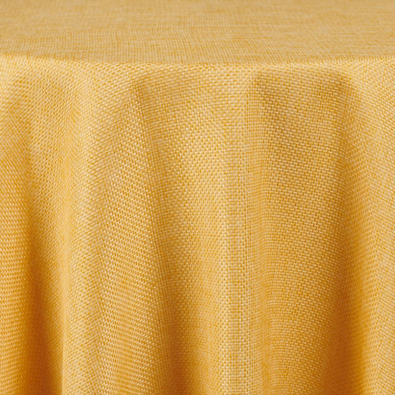 Harmony | Sun Gold