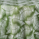 Havana | Cactus
