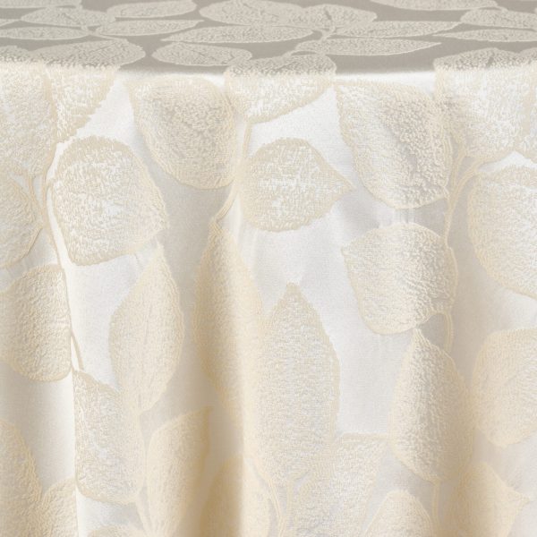 Fiola | Champagne
