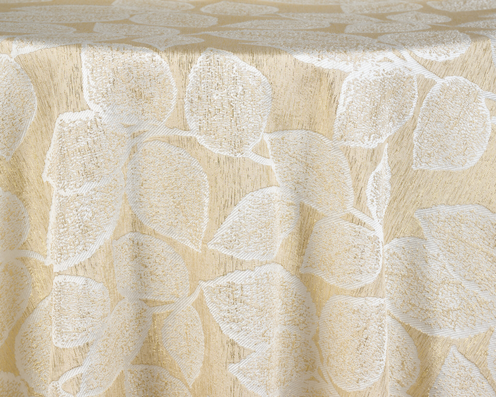 Fiola | Gold - Image 2