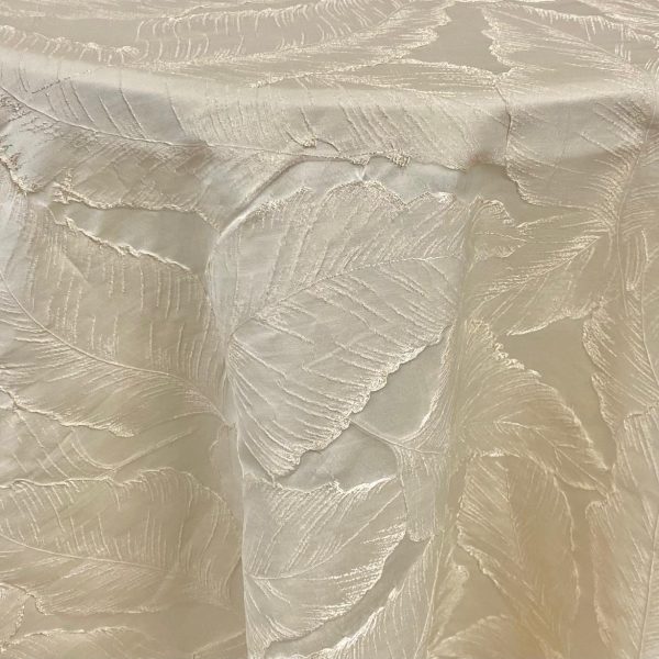 Pacifica | Cream