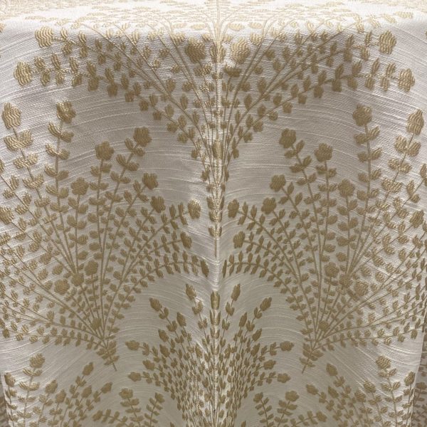 Ayala | Champagne
