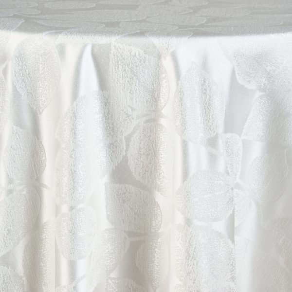 Fiola | White