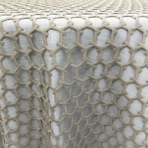 Ilani Lace | Champagne