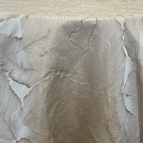 Pacifica | Champagne