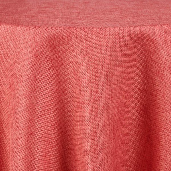 Harmony | Coral