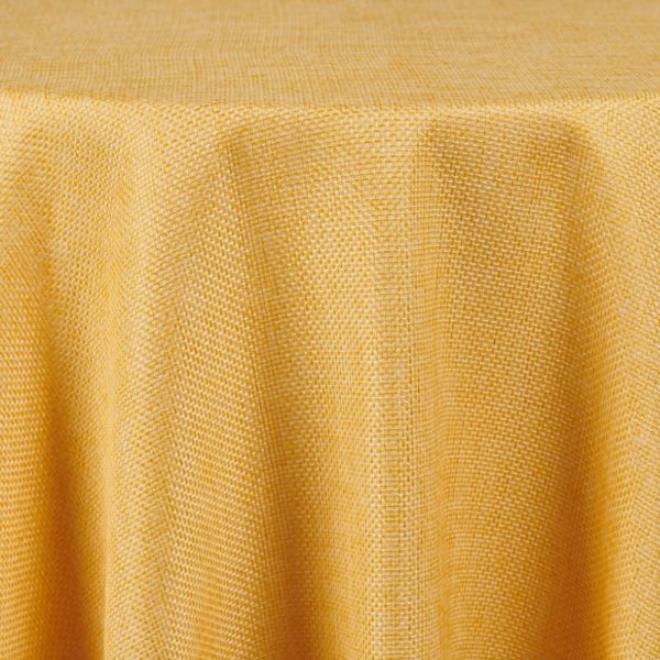 Harmony | Sun Gold