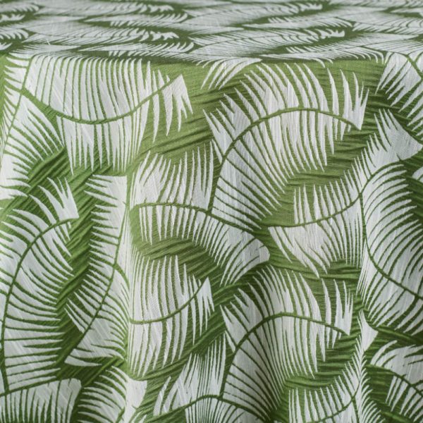 Havana | Cactus