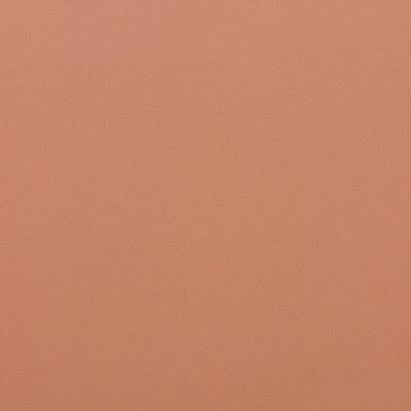 Tropical | Peach