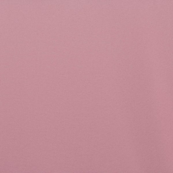 Tropical | Pink