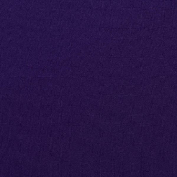 Tropical | Purple